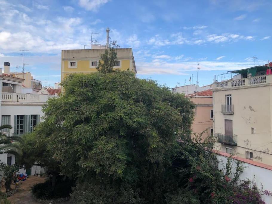 L'Havana Xica Vilanova i la Geltru Luaran gambar